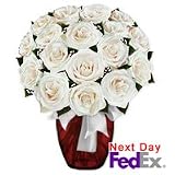 Roses - Elizabeth