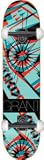 Alien Workshop G. Taylor Anaglyph Hexmark Skateboard - 8.12 w/Thunders