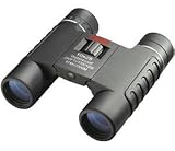 Sierra10x25mm Blk WP FP Cmpt Bino