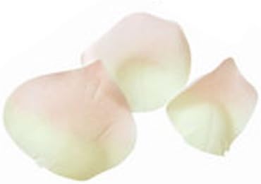 Sansei Heart in Flower shower party Peach (japan import)
