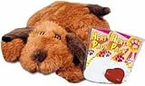 Brown Mutt Snuggle Puppy