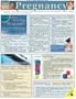 Pregnancy (Quickstudy: Health)