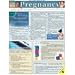 Pregnancy Laminated Reference Guide (Quickstudy: Health)