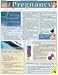 Pregnancy (Quickstudy: Health)