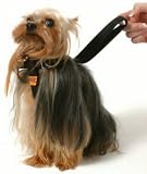 RAC Car Harness Small