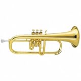 Amati AFH 201-O Bb Flugelhorn (AFH 201-O Lacquer)