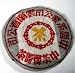 1998 Grand Yellow Label Beeng Cha Tea Leaves - Vintage Pu-erh Teas