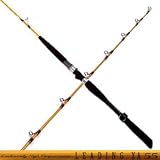ダイワ(Daiwa) リーディングXA 55 205 VI 05288294