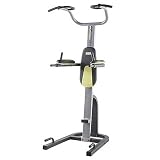 Proform Fitness Fusion 1.5T Vertical Knee Raise Power Workout Tower