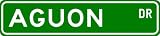 AGUON Street Sign ~ Personalized Family Lastname Sign ~ Gameroom, Basement, Garage Sign **