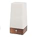 Signstek Wireless PIR Motion Sensor 3 Modes Battery Powered LED Decrative Night Light Lamp (Square)
