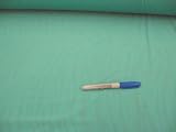 Fabric Lycra Tiger Stripes Pale Sea Green Y302