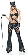 ALL NEW 5 Pc. Bad Kitty Costume - Move over Catwoman and Batgirl! (Includes the Whip too!)