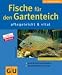  : Fische f&uuml;r den Gartenteich pflegeleicht & vital: Schritt f&uuml;r Schritt zum Traumteich. Die sch&ouml;nsten Fische im Portr&auml;t