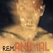 Animal/Pretty Persuasion/Losing My Religion