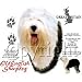 Old English Sheepdog Adult Long Sleeve T-Shirt