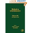DNA Repair, Part B, Volume 409 (Methods in Enzymology) by Judith L. Campbell and Paul Modrich