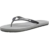 Quiksilver Men's Haleiwa Flip-Flop