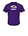 NFL Baltimore Ravens Men's UP4 Tee, Dark Purple, Large
