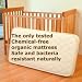 Organic Crib/Toddler Mattress Pure Rest Apollo 260