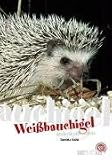 Weissbauchigel: Art fuer Art