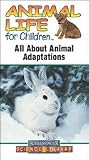 Animal Life for Children All About Animal Adaptations