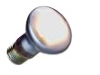 Hobby Neodymium Basic Spot Daylight - 100 Watt