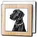 Dogs Great Dane - Black Great Dane - Tile Napkin Holders