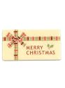 【14%OFF】タータンクリスマス(チョコレートプレート)クリスマスケーキ 飾り【SALE】【夏期クール便】