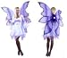 Beautiful Blue Fairy Wings (Wings Only) - ONLY AVAILABLE WITH GROUND SHIPPING.