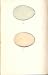 2 H/C Meyer Bird EGGS 1842 GOOSSANDER, RED BREAST MERGA