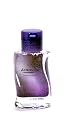 Purple Astroglide 2.5 oz Lube Personal Lubricant Anal Sex Toy Kit