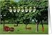 Concert Congratulations, Strings & Lights Outdoors Card