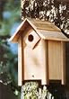 Nesting Box-Large