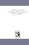 The history, commercial advantages and future prospects of Bay City, Michigan ...