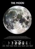 The Moon (Phases of the Moon) Art Poster Print - 24