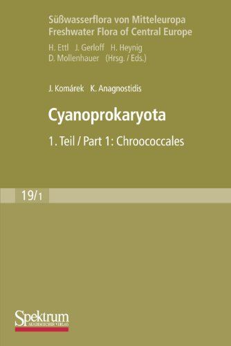 Cyanoprokaryota: Teil 1 / Part 1: Chroococcales (Süßwasserflora von Mitteleuropa) (German Edition)