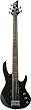 ESP LTD B55 5 String Electric Bass Guitar (Black)