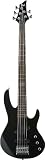 ESP LTD B55 5 String Electric Bass Guitar (Black)