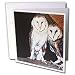 Steve Shachter Art - BARN OWLS - Greeting Cards-12 Greeting Cards with envelopes