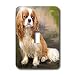Dogs Cavalier King Charles Spaniel - Cavalier - Light Switch Covers - single toggle s...