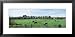 Arundel Skyline, West Sussex, England, United Kingdom Places Framed Art Poster Print by Panoramic Images, 31x15
