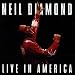 Live in America