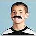 Mustache Toys Assortment: 12 Pack of Mustache Stick Ons (3 pack), bracelets, rings & whistles!!