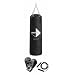 Century 100 lb Heavy Bag Combo (Black)
