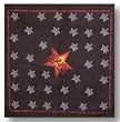 GUNS N ROSES - Star - Bandana