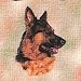German Shepherd Woven Lap Square (Throw Blanket)