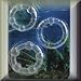 Health & Personal Care : Silicone Island Prolong Ring Clear - y2Male Personal Penis Enhancement Aids