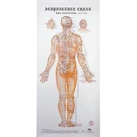 Set of 4 Acupuncture Charts