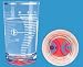 Ritzenhoff 1450033 AQUA - WATER GLASS BY GAETA & DE PONTE 2004